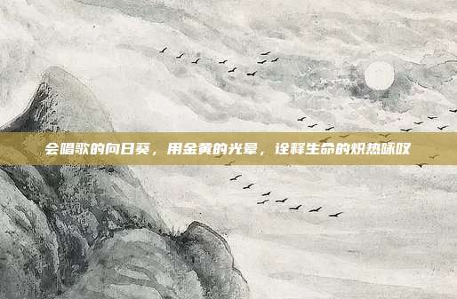 会唱歌的向日葵，用金黄的光晕，诠释生命的炽热咏叹