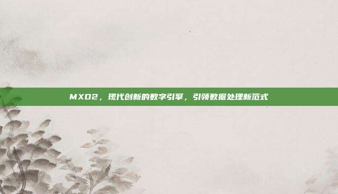 MXD2，现代创新的数字引擎，引领数据处理新范式