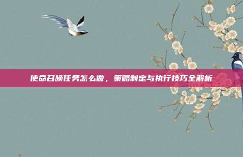 使命召唤任务怎么做，策略制定与执行技巧全解析