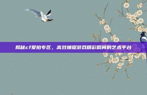揭秘cf爱拍专区，高效捕捉游戏精彩瞬间的艺术平台