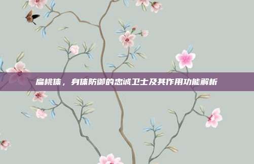 扁桃体,身体防御的忠诚卫士及其作用功能解析