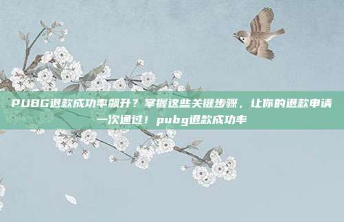 PUBG退款成功率飙升？掌握这些关键步骤，让你的退款申请一次通过！pubg退款成功率