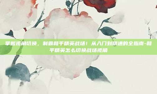 掌握视角切换，制霸和平精英战场！从入门到精通的全指南-和平精英怎么切换战场视角