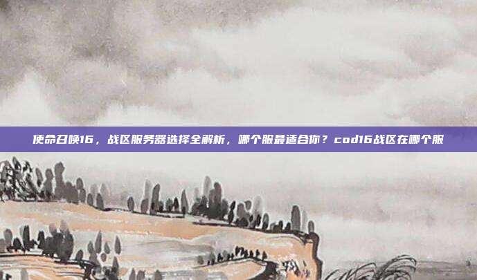 使命召唤16，战区服务器选择全解析，哪个服最适合你？cod16战区在哪个服