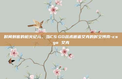 时间刺客的枪火纪元，当CS:GO战术邂逅艾克的时空博弈-csgo 艾克