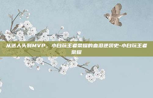 从送人头到MVP，小白玩王者荣耀的血泪逆袭史-小白玩王者荣耀
