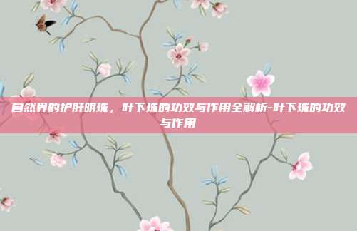 自然界的护肝明珠，叶下珠的功效与作用全解析-叶下珠的功效与作用