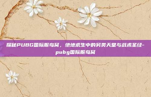 探秘PUBG国际服鸟窝，绝地求生中的另类天堂与战术圣经-pubg国际服鸟窝
