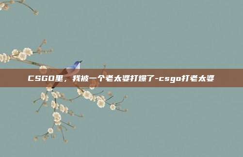 CSGO里，我被一个老太婆打爆了-csgo打老太婆