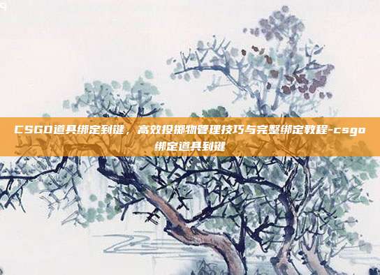 CSGO道具绑定到键，高效投掷物管理技巧与完整绑定教程-csgo绑定道具到键