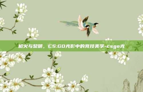 枪火与黎明，CS:GO光影中的竞技美学-csgo光