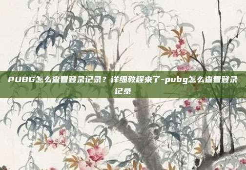 PUBG怎么查看登录记录？详细教程来了-pubg怎么查看登录记录