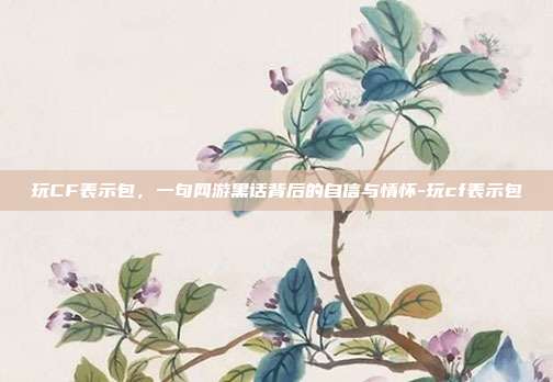 玩CF表示包，一句网游黑话背后的自信与情怀-玩cf表示包