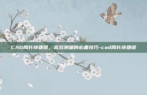 CAD周长快捷键，高效测量的必备技巧-cad周长快捷键