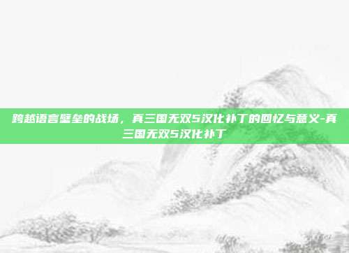 跨越语言壁垒的战场，真三国无双5汉化补丁的回忆与意义-真三国无双5汉化补丁