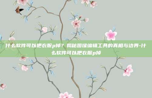什么软件可以把衣服p掉？揭秘图像编辑工具的真相与边界-什么软件可以把衣服p掉