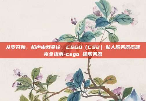 从零开始，枪声由我掌控，CSGO（CS2）私人服务器搭建完全指南-csgo 建服务器