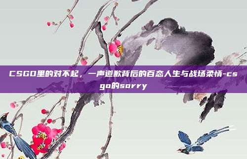 CSGO里的对不起，一声道歉背后的百态人生与战场柔情-csgo的sorry