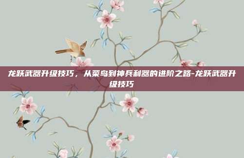 龙跃武器升级技巧，从菜鸟到神兵利器的进阶之路-龙跃武器升级技巧