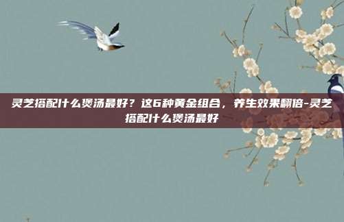 灵芝搭配什么煲汤最好？这6种黄金组合，养生效果翻倍-灵芝搭配什么煲汤最好