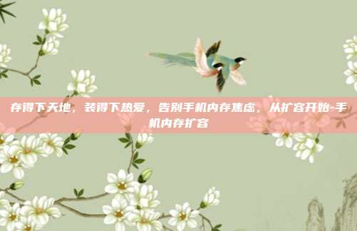 存得下天地，装得下热爱，告别手机内存焦虑，从扩容开始-手机内存扩容