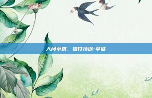 人间草木，错付情深-苹婆