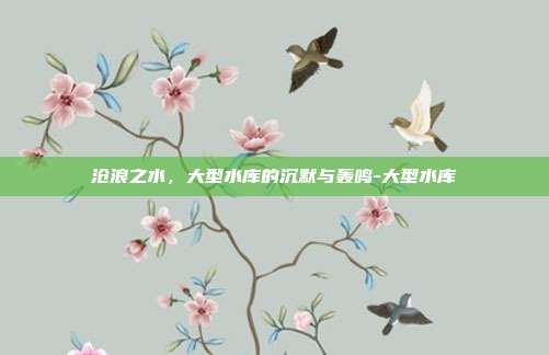 沧浪之水，大型水库的沉默与轰鸣-大型水库