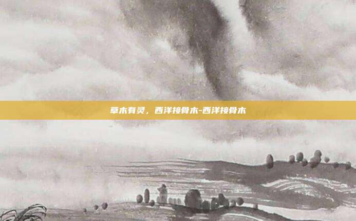 草木有灵，西洋接骨木-西洋接骨木