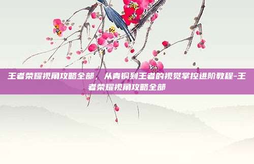 王者荣耀视角攻略全部，从青铜到王者的视觉掌控进阶教程-王者荣耀视角攻略全部