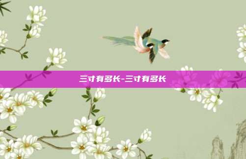 三寸有多长-三寸有多长