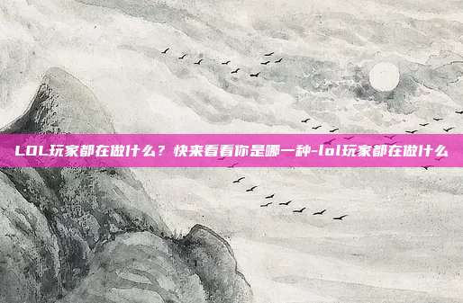 LOL玩家都在做什么？快来看看你是哪一种-lol玩家都在做什么