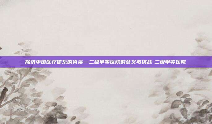探访中国医疗体系的脊梁—二级甲等医院的意义与挑战-二级甲等医院