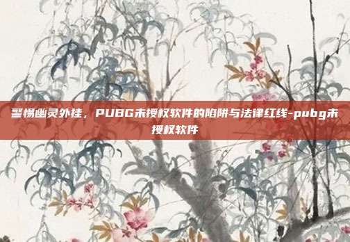 警惕幽灵外挂，PUBG未授权软件的陷阱与法律红线-pubg未授权软件