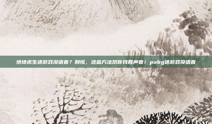 绝地求生进游戏没语音？别慌，这些方法帮你找回声音！pubg进游戏没语音