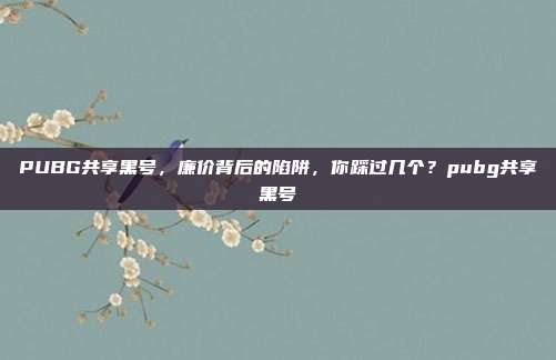PUBG共享黑号，廉价背后的陷阱，你踩过几个？pubg共享黑号