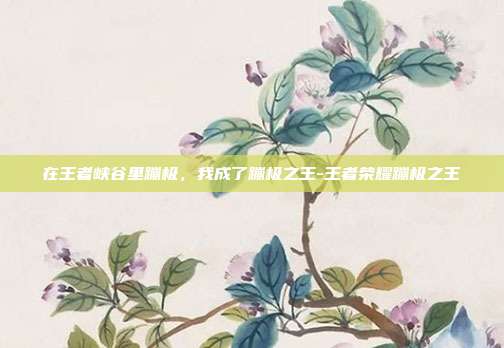 在王者峡谷里蹦极，我成了蹦极之王-王者荣耀蹦极之王