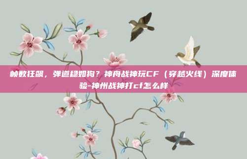 帧数狂飙,弹道稳如狗?神舟战神玩CF(穿越火线)深度体验-神州战神打cf怎么样