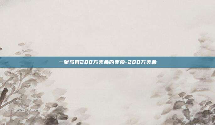 一张写有200万美金的支票-200万美金