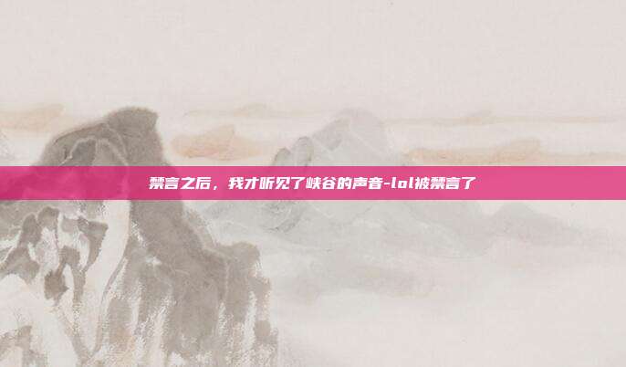 禁言之后,我才听见了峡谷的声音-lol被禁言了