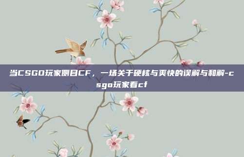 当CSGO玩家侧目CF,一场关于硬核与爽快的误解与和解-csgo玩家看cf