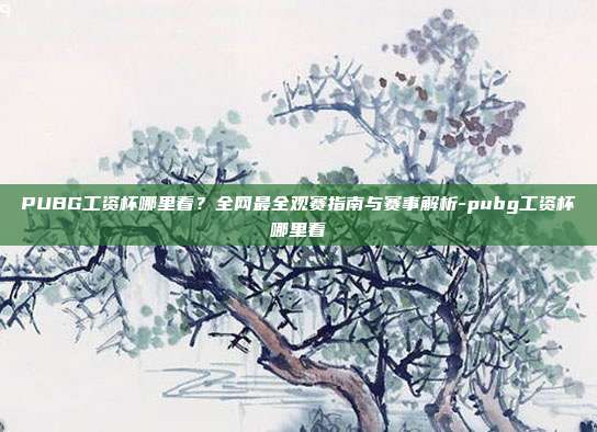 PUBG工资杯哪里看？全网最全观赛指南与赛事解析-pubg工资杯哪里看