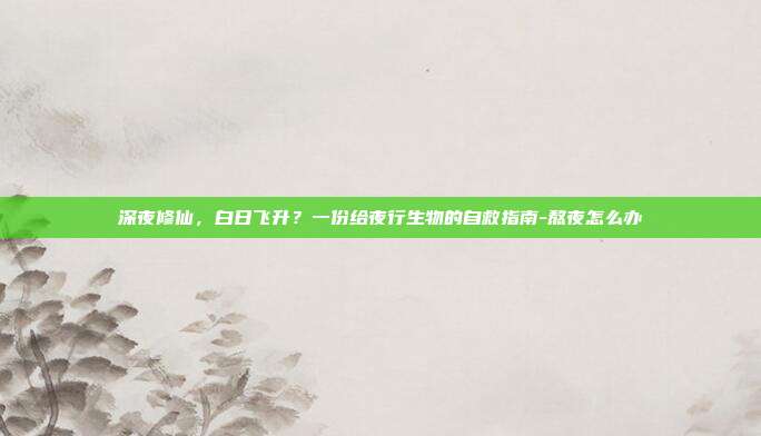 深夜修仙，白日飞升？一份给夜行生物的自救指南-熬夜怎么办