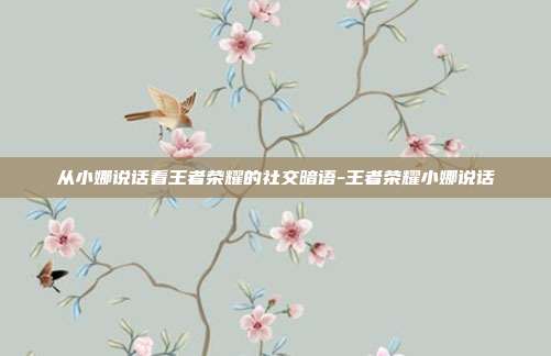 从小娜说话看王者荣耀的社交暗语-王者荣耀小娜说话