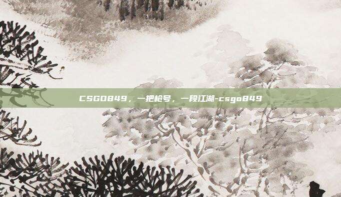 CSGO849，一把枪号，一段江湖-csgo849