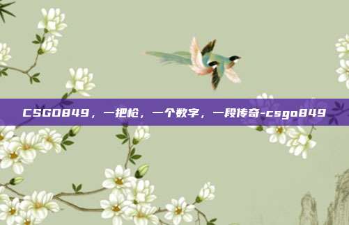 CSGO849，一把枪，一个数字，一段传奇-csgo849
