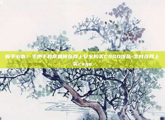 新手必看！手把手教你如何在网上安全购买CSGO饰品-怎样在网上买csgo