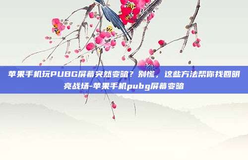 苹果手机玩PUBG屏幕突然变暗？别慌，这些方法帮你找回明亮战场-苹果手机pubg屏幕变暗