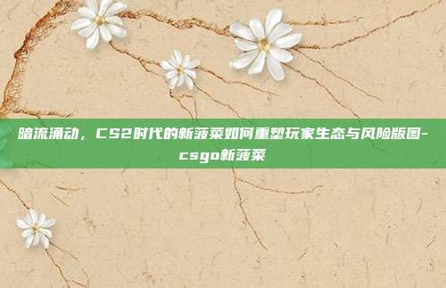 暗流涌动，CS2时代的新菠菜如何重塑玩家生态与风险版图-csgo新菠菜