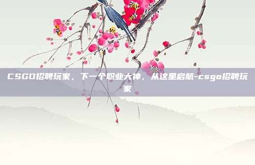 CSGO招聘玩家，下一个职业大神，从这里启航-csgo招聘玩家