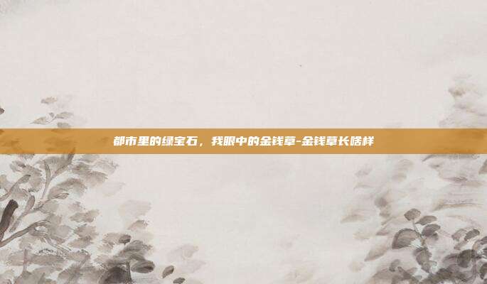 都市里的绿宝石,我眼中的金钱草-金钱草长啥样